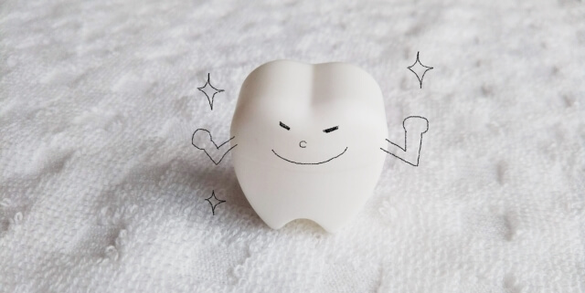 綺麗で強い歯